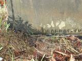 image of grave number 433221